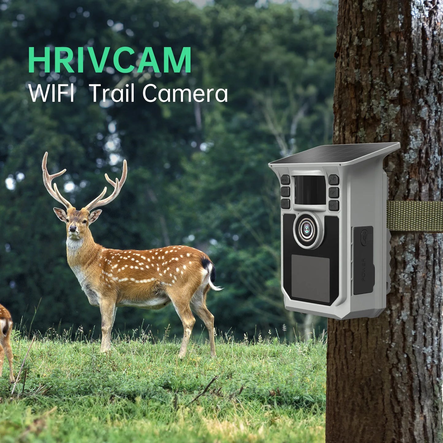 4K Solar Trail Camera, 48MP WiFi Trail Camera with Night Vision 0.2s Trigger Motion Activated, Game Camera with 130° Detec