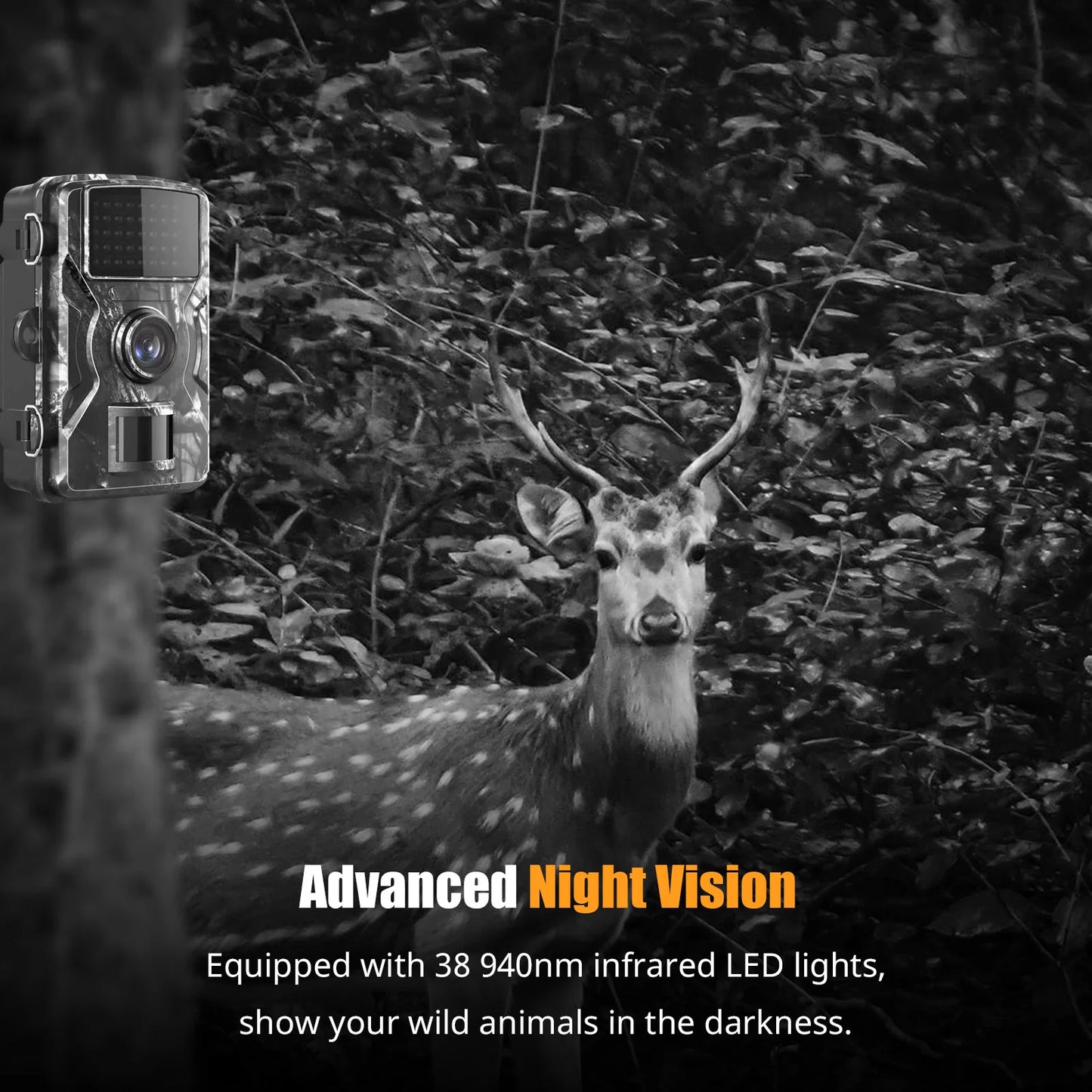 1080P Color Display Trail Game Camera Waterproof with IR Night Vision Motion Detection for Outdoor Wildlife Farm Monitoring