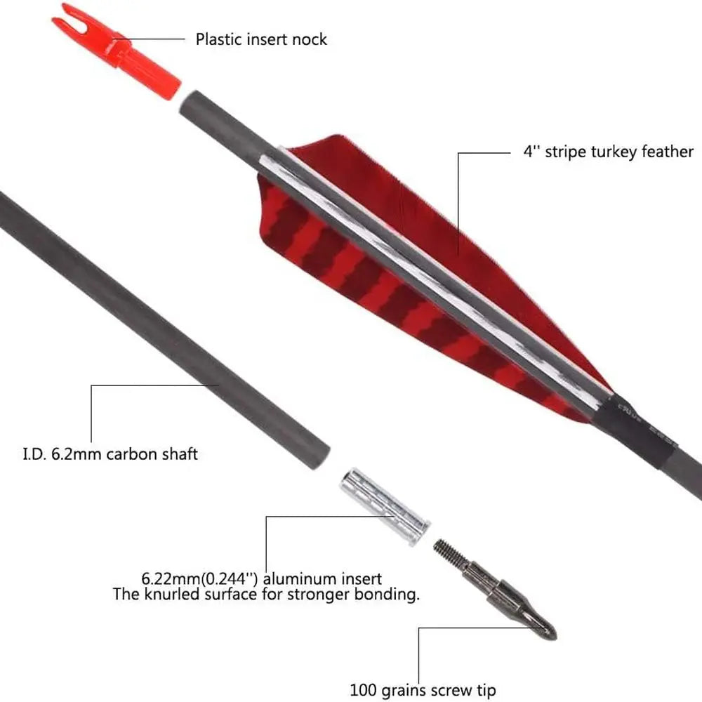 Carbon 600-700 Spine 30 Turkey Feather Fletched Arrows with Screw-In Points for Traditional, Recurve, and Compound Bows Hunting