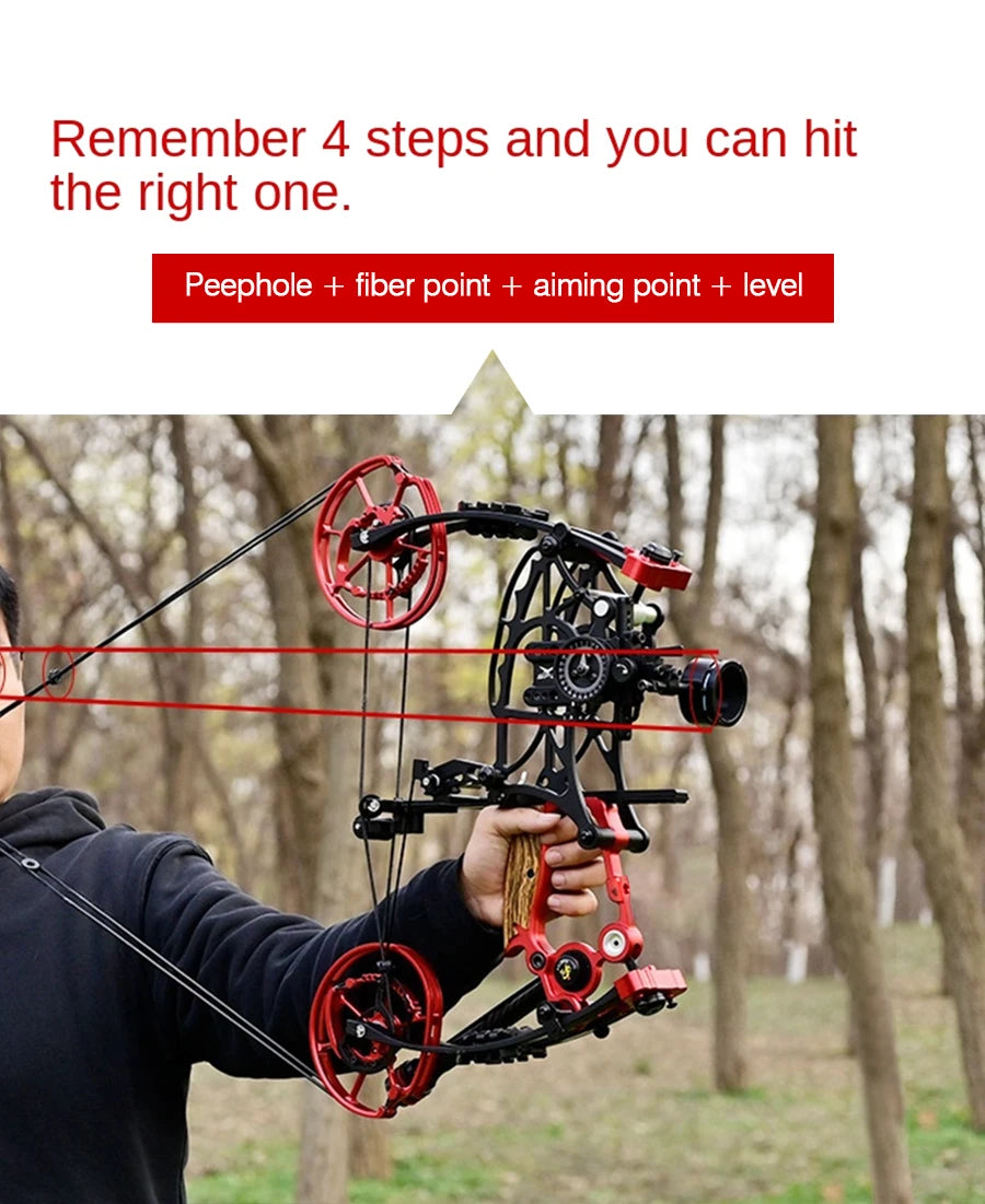 New Fiery Compound Bow Pulley Bow Adult Outdoor Archery Steel Ball and Arrow Dual-purpose Adult Bow High Precision Shooting