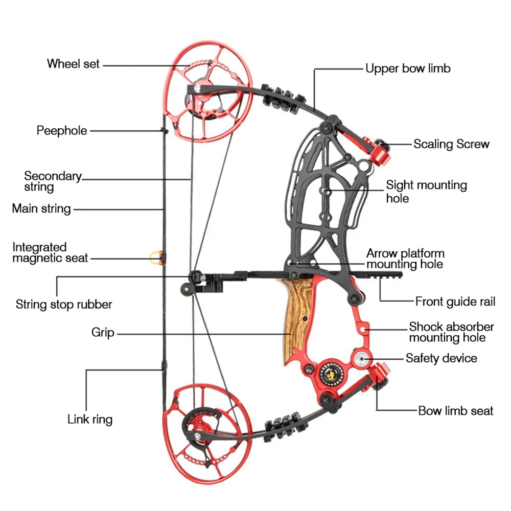 New Fiery Compound Bow Pulley Bow Adult Outdoor Archery Steel Ball and Arrow Dual-purpose Adult Bow High Precision Shooting